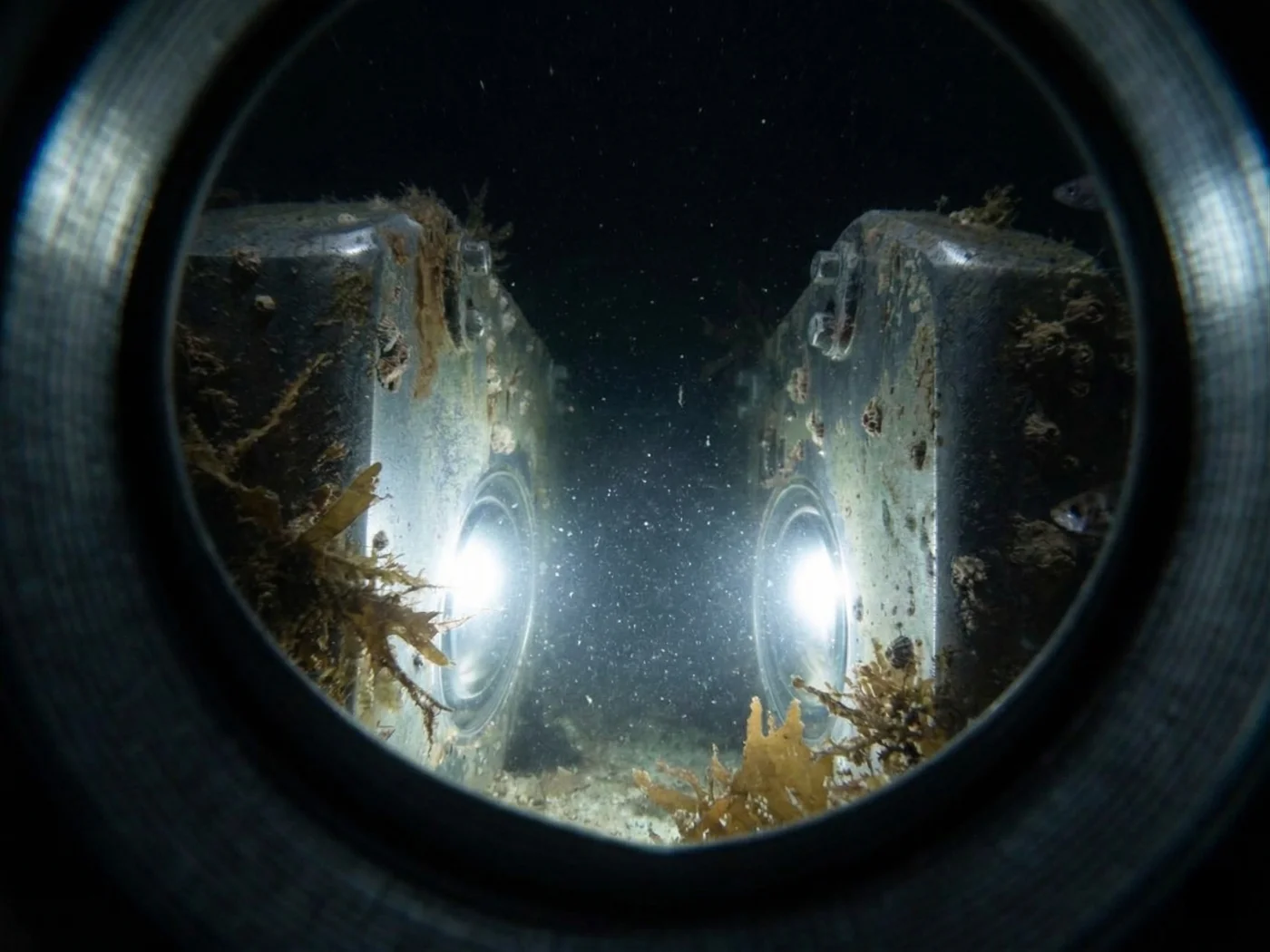 Camera view from inside the AquaSpectra probe